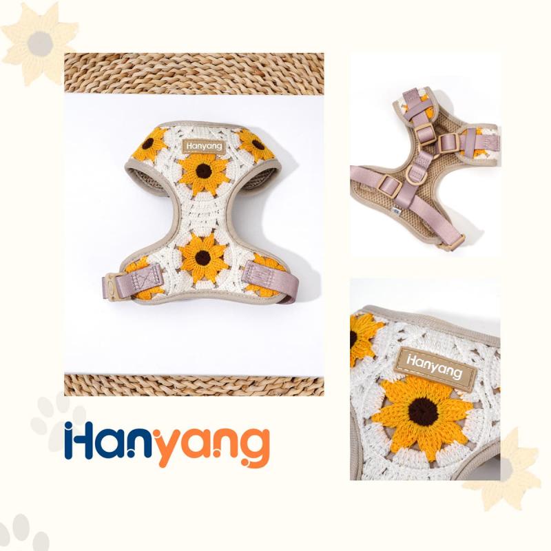 custom dog harness with name