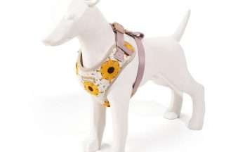 OEM dog harness